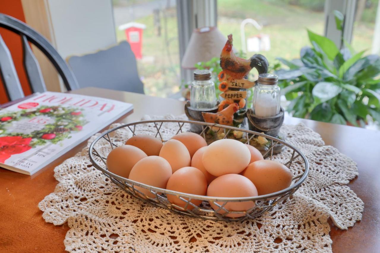 Hammer Creek Hideaway B&B 리티츠 외부 사진